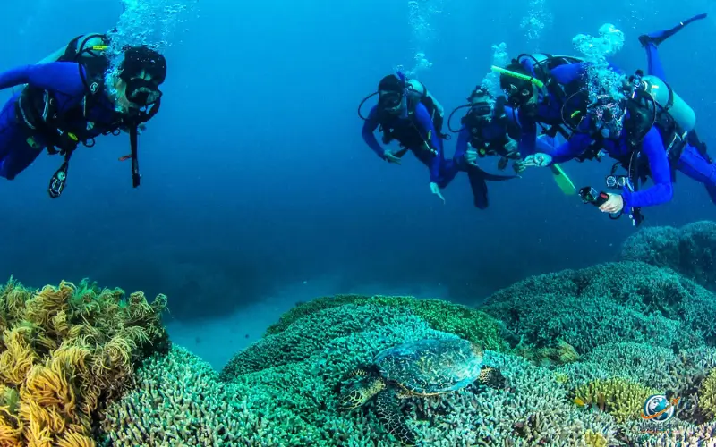Manta Ray Season