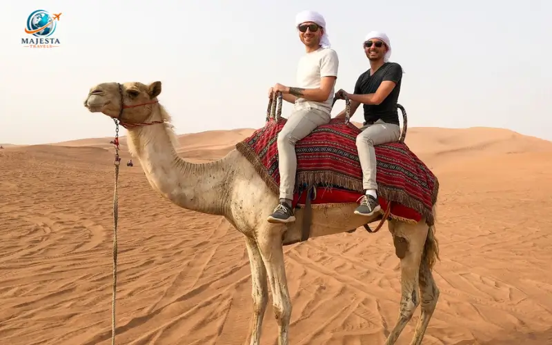 Camel Riding Experience