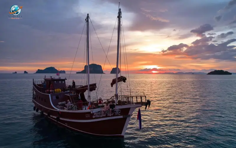 Boat Tours and Cruises