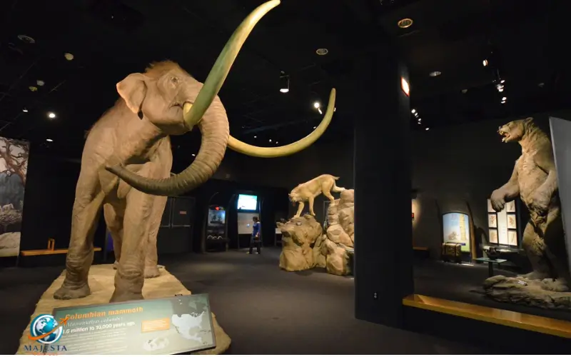 Ice Age Animal Exhibits
