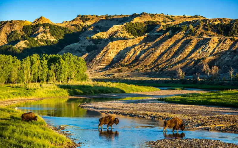 Theodore Roosevelt National Park