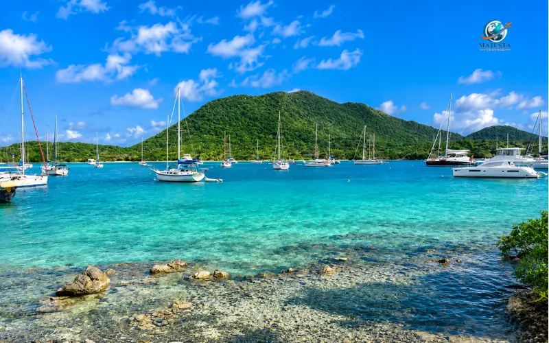 Trellis Bay