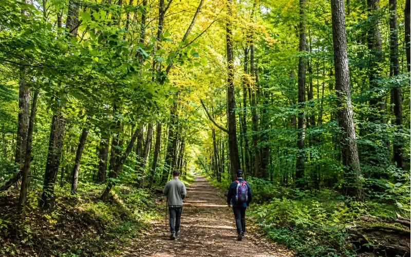 Hoosier National Forest