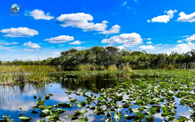 Everglades National Park