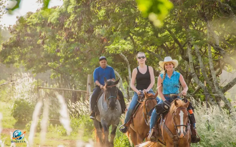 Experience Horseback Riding
