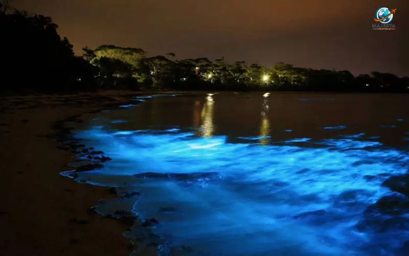 Luminous Lagoon, Jamaica