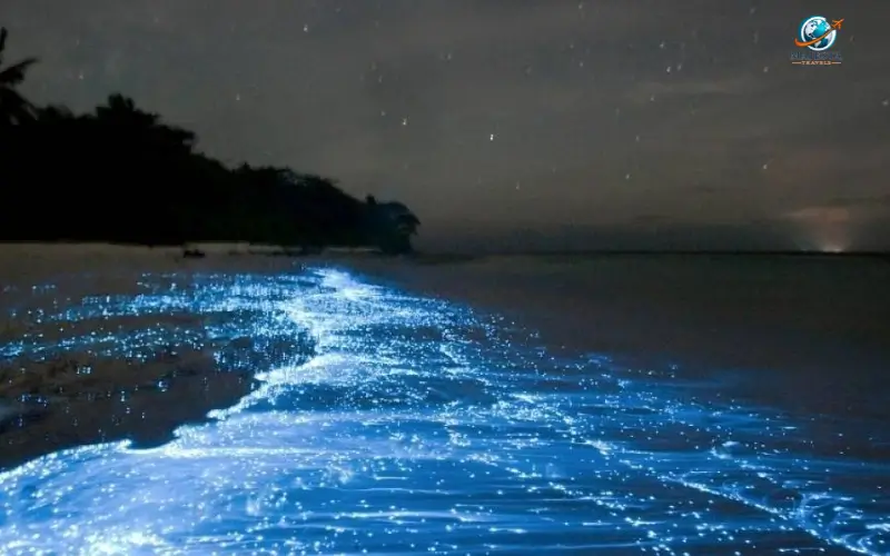 Mosquito Bay