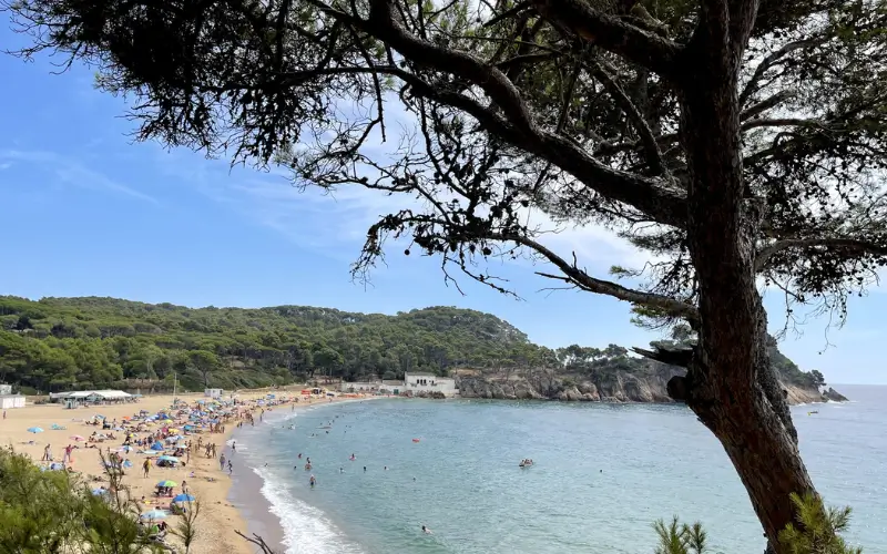 Platja de Castell