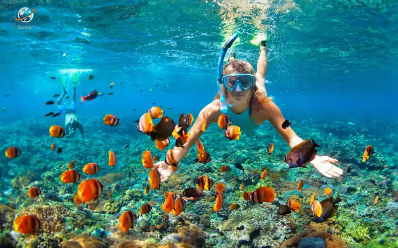 Snorkel at Steps Beach