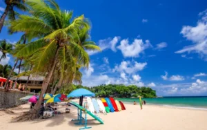 Flamingo Beach Aruba