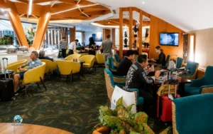 Dining Options