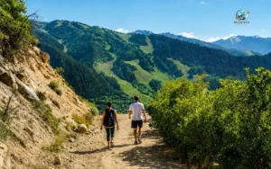 Understanding Aspen Village Elevation