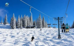 Winter Conditions