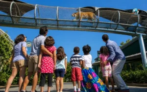 Family-Friendly Attractions