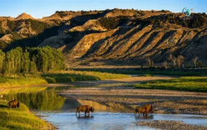 Theodore Roosevelt National Park