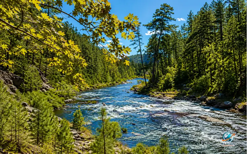 Beavers Bend State Park