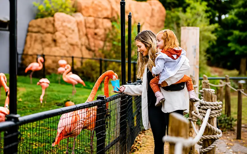 Oklahoma City Zoo