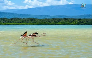 Laguna Oviedo