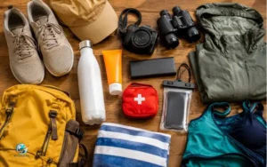 What to Pack