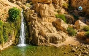 Ein Gedi Nature Reserve