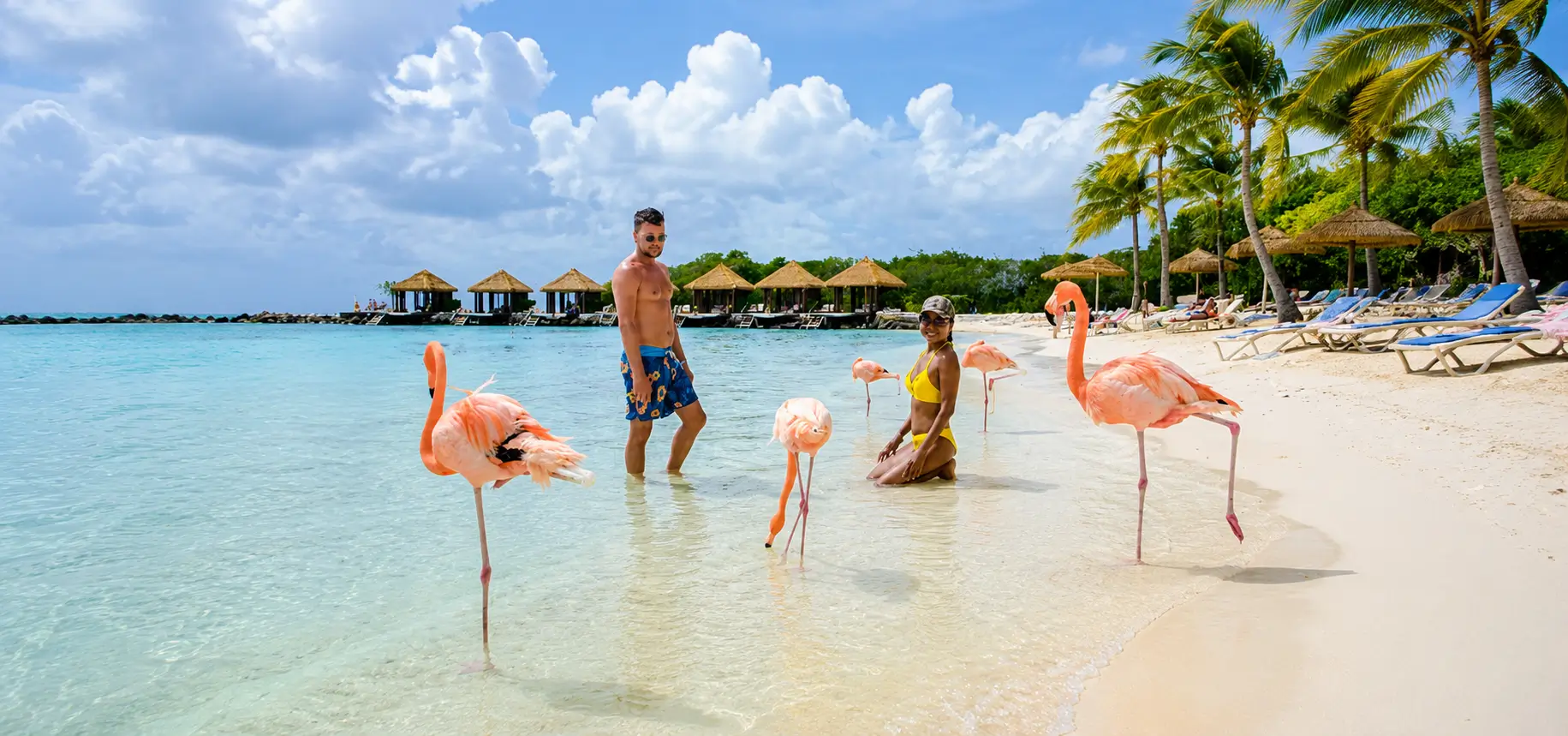 Flamingo Beach Aruba